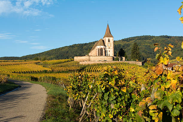 istock Medieval church in vineyard 504866702