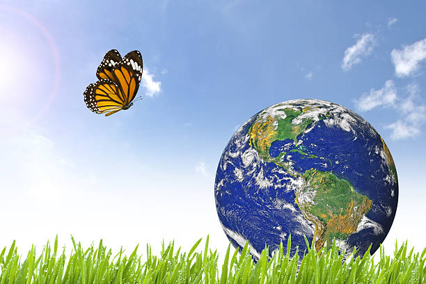 istock Butterfly and Planet Earth on beautiful green grass 504874920