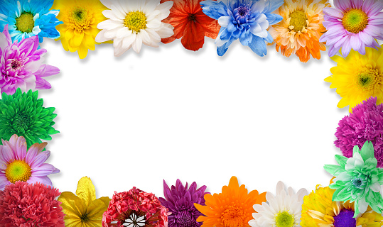 arrangement flower frame isolated on white background