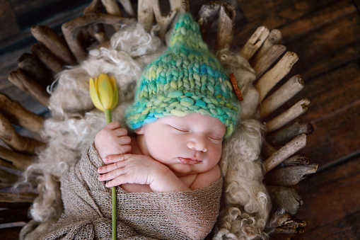 A newborn baby, wearing a gnome hat, holds a tulip as she lays sleeping in a basket. 