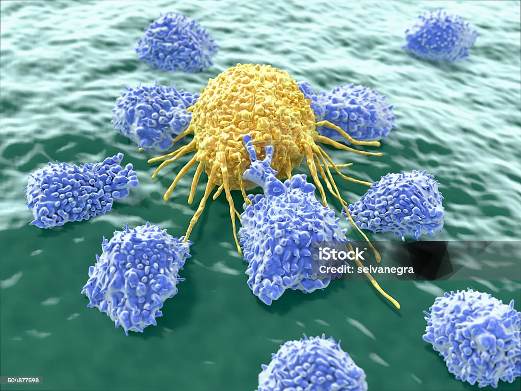 Lymphocytes attacking cancer cell Natural killer cells are a type of lymphocytes which destroy cancer cells and other altered cells releasing cytotoxic granules. Natural Killer Cell Stock Photo