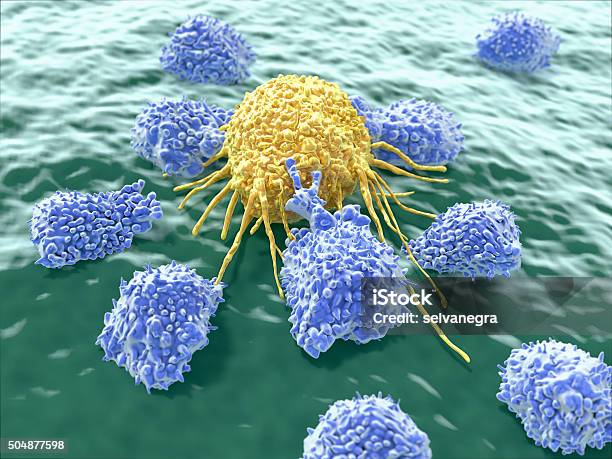Lymphocytes Attacking Cancer Cell Stock Photo - Download Image Now - Natural Killer Cell, Cancer Cell, T-Cell