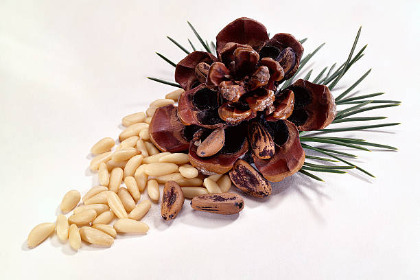 Pine nuts and pine cones on a white background stock photo