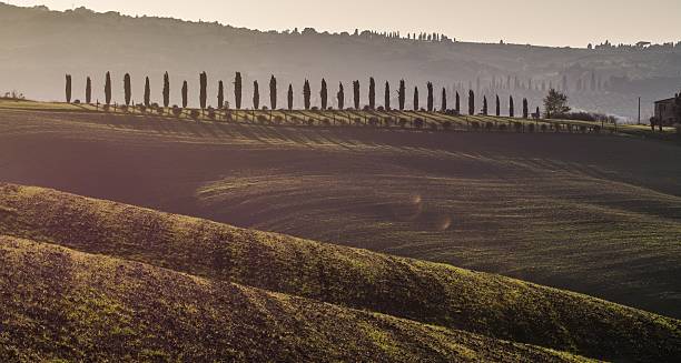 istock Val d'Orcia, Tuscany - Italy 504879472