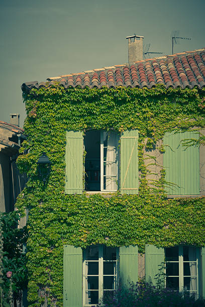 istock Overgrown wall of residential building facade 504881184