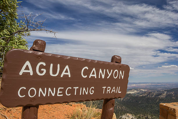 istock Agua Canyon sign in Bryce Canyon 504882520