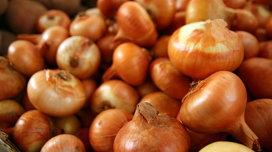 Close-up of red onions at the green market - Allium cepa