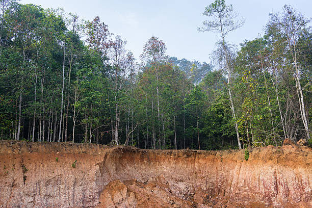 istock Small cliff in the forest caused by landslide 504885182