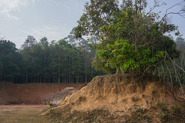 istock Trees on small hill with small cliff and forest background 504885508