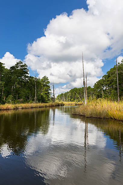 Coastal Waterway on Sunny Fall Day
