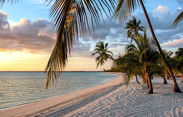 istock Sunset at Beach at the Bahamas 504887110