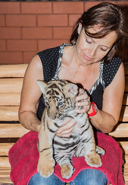istock Woman with a tiger cub on her lap 504888256