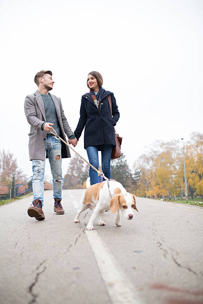 istock Walk trough the park 504890600
