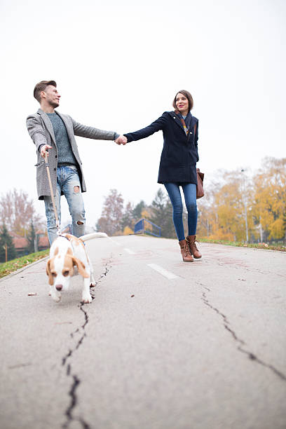 istock Walk trough the park 504890762