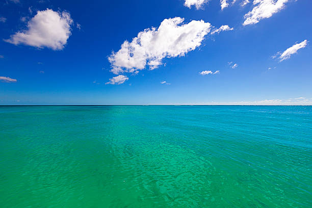 istock turquoise mauritius seascape 504890936
