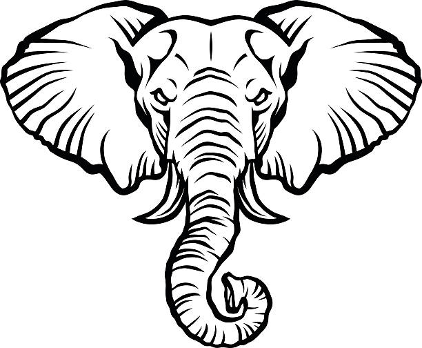 elephant head - elephant head stock-grafiken, -clipart, -cartoons und -symbole