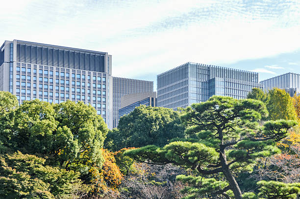 istock Office buildings and green park space - Tokyo, Japan 504896310