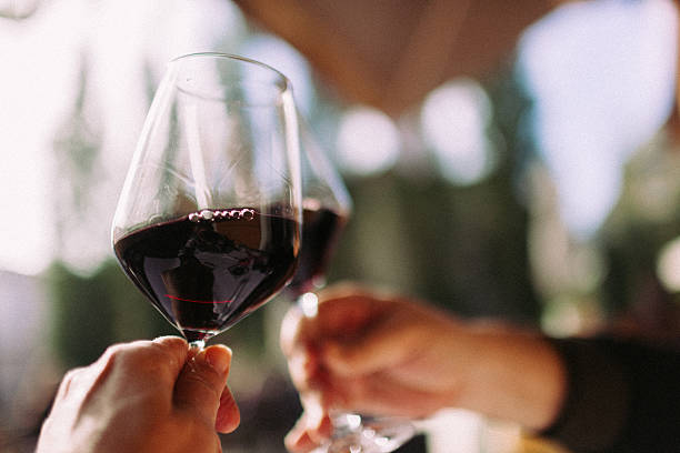 Cheers Couple cheering with glasses of red wine. honour stock pictures, royalty-free photos & images