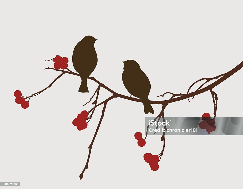 sparrows on a mountain ash branch Vector image of the birds on a rowan branch. Bird stock vector