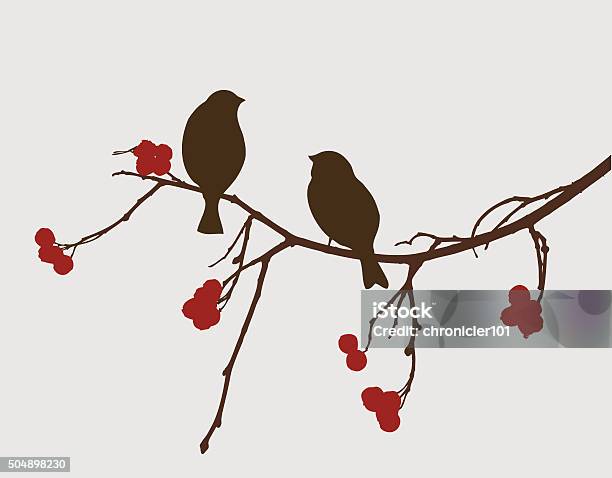 Sparrows On A Mountain Ash Branch Stock Illustration - Download Image Now - Bird, In Silhouette, Branch - Plant Part