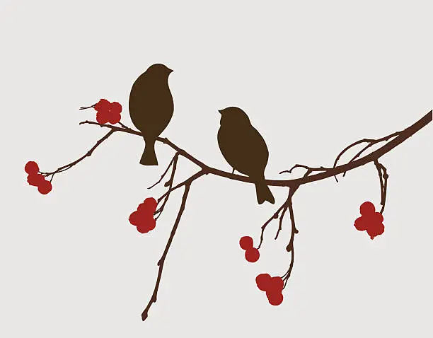 Vector illustration of sparrows on a mountain ash branch