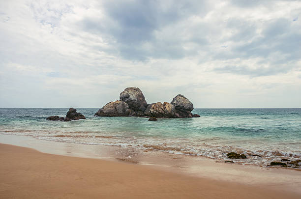 istock Untouched tropical beach in Sri Lanka 504899048