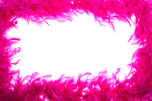 Pink feather boa forming a frame around the perimeter on white background with room for copy