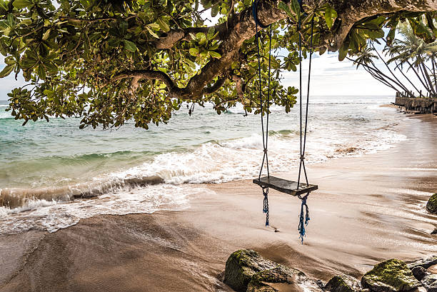 istock wooden swing board by the beach 504899842