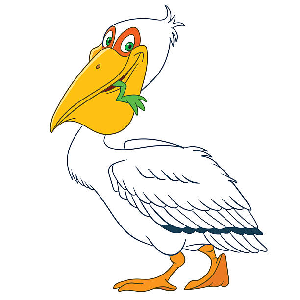 Cute Cartoon Pelican Stock Illustration - Download Image Now - Animal, Animal Body Part, Animal Wildlife - iStock Cute Cartoon Pelican Stock Illustration - Download Image Now - Animal, Animal Body Part, Animal Wildlife - iStock