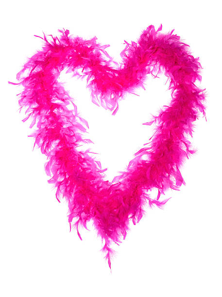 Pink feather boa forming a heart shape  frame on white background with room for copy