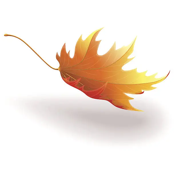 Vector illustration of Falling leaf