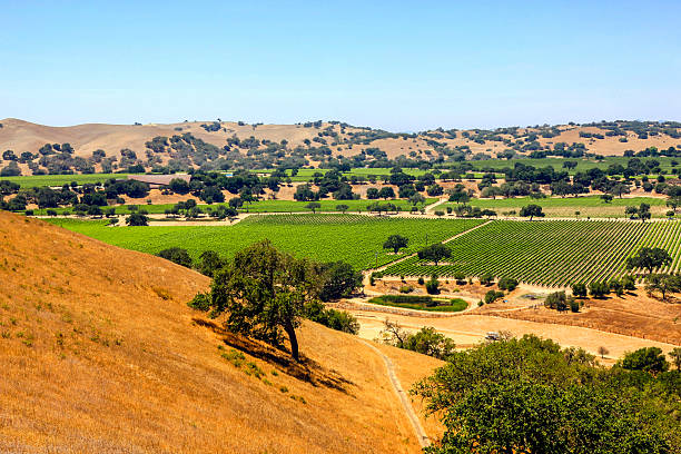 istock Foxen Canyon in Santa Barbara County, California 504903156