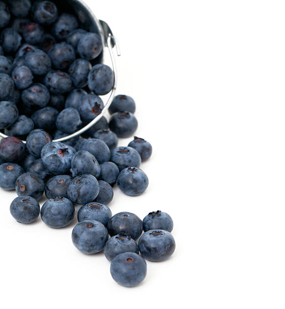 istock blueberries in a bucket isolated on white 504904098
