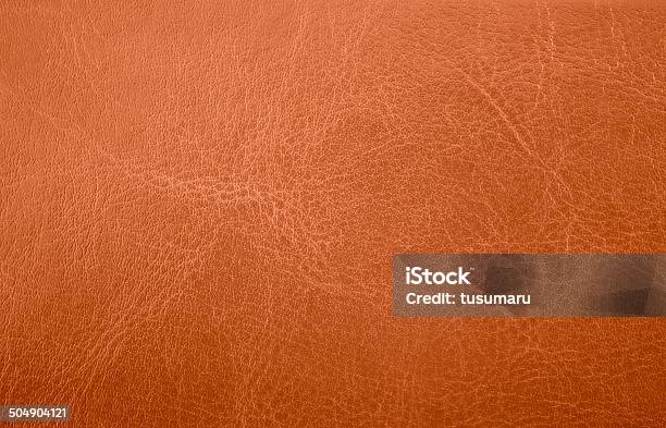 Leather Texture Stock Photo - Download Image Now - Abstract, Animal, Animal Body Part