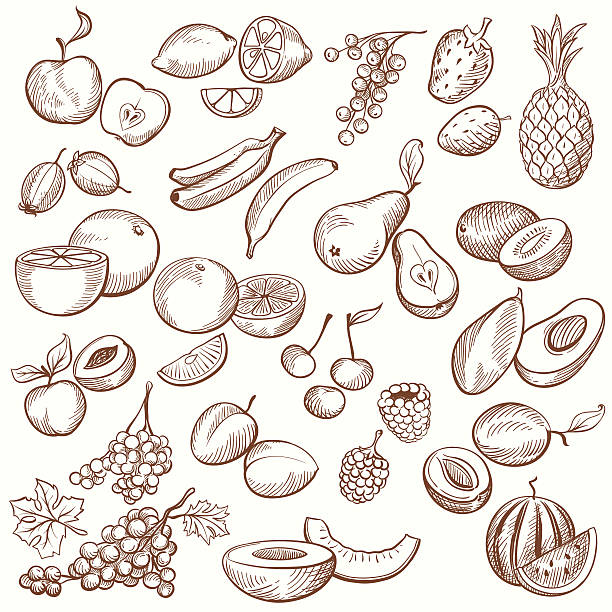 vintage фрукты подчеркивает - vector pear peach fruit stock illustrations