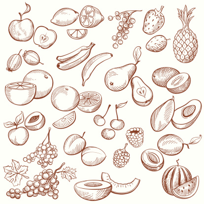 Set of vintage sketches fruits, freehand hatching work.