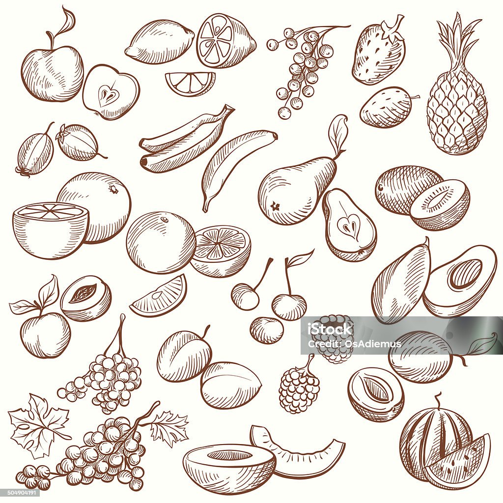 Vintage Fruit Contours Set of vintage sketches fruits, freehand hatching work. Fruit stock vector