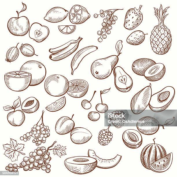 Vintage Fruit Contours Stock Illustration - Download Image Now - Fruit, Drawing - Activity, Illustration