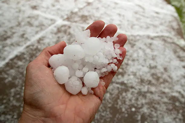 Photo of Hand holding quarter sized hail stones Denver Colorado