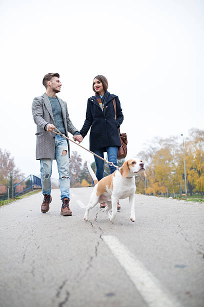 istock Happy Young Couple Walking the Dog 504906394