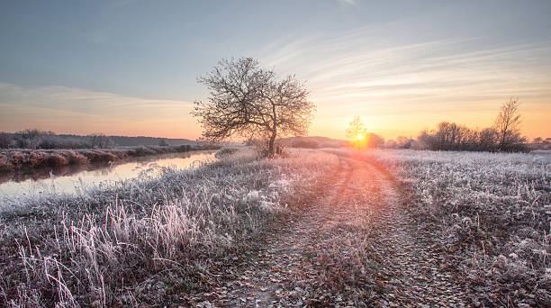 istock Colorful winter sunrise 504906828