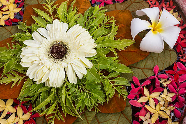 istock Flowers in water 504906961