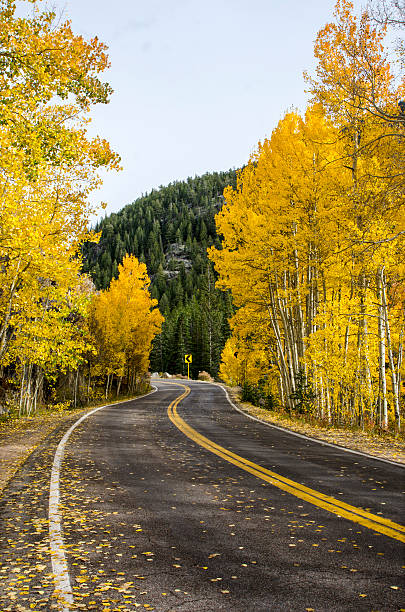 istock Independence Pass in the Colorado Rocky Mountains 504907632