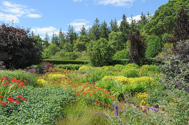 istock Vivid, vibrant coloured flowerbed in a traditional garden in Devon. 504908543