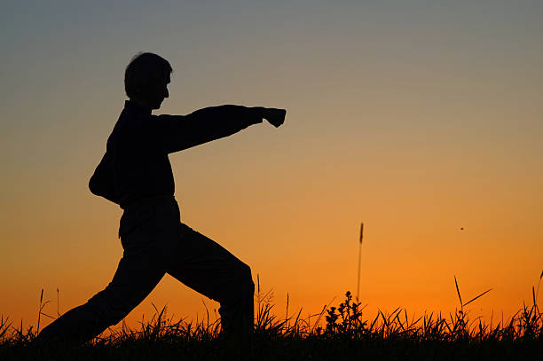 istock Man practicing karate on the grassy horizon after sunset. Punch. 504909044