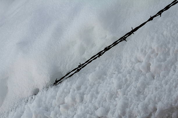 alambre de espino salen de nieve, diagnal - diagnal fotografías e imágenes de stock