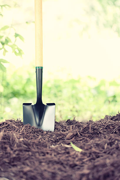istock Gardening shovel in environmentally friendly mulch 504909102