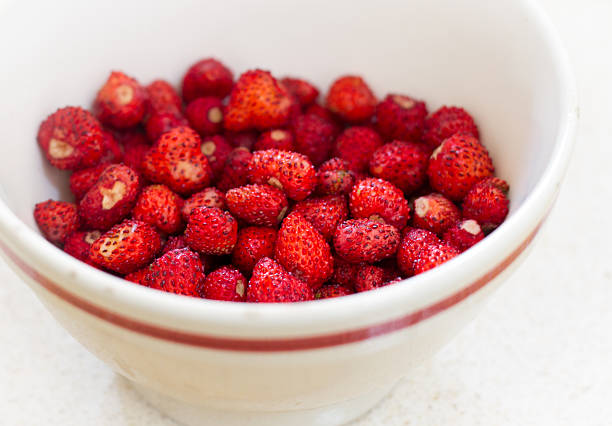 White Bowlful of Tiny Wild Strawberries
