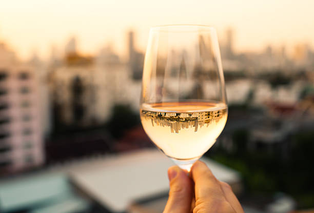 istock Enjoying glass of wine 504912122