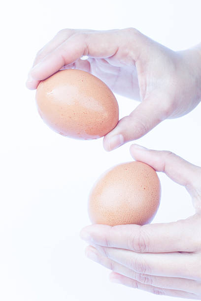 istock Hand holding eggs isolated on white background isolated on white 504913726